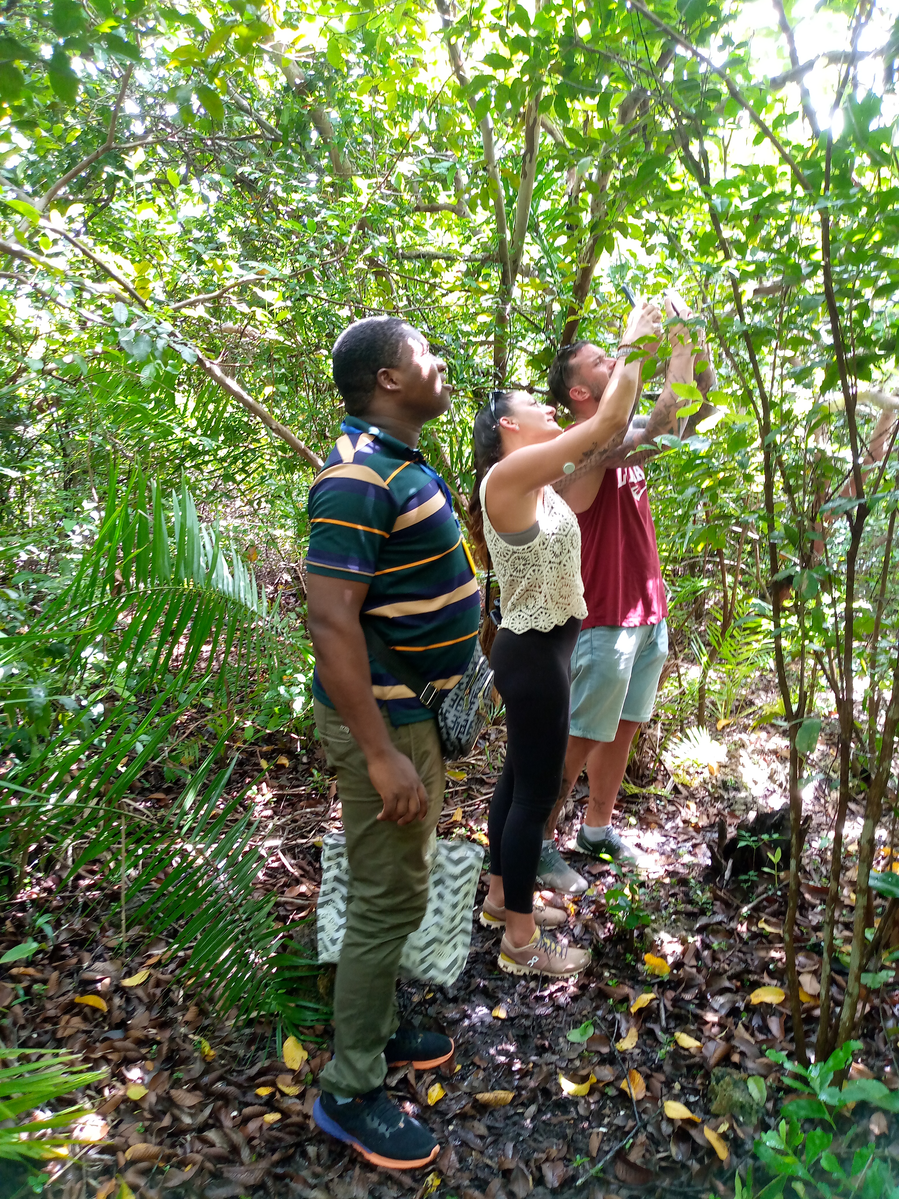 Jozan Forest Park Tour Image