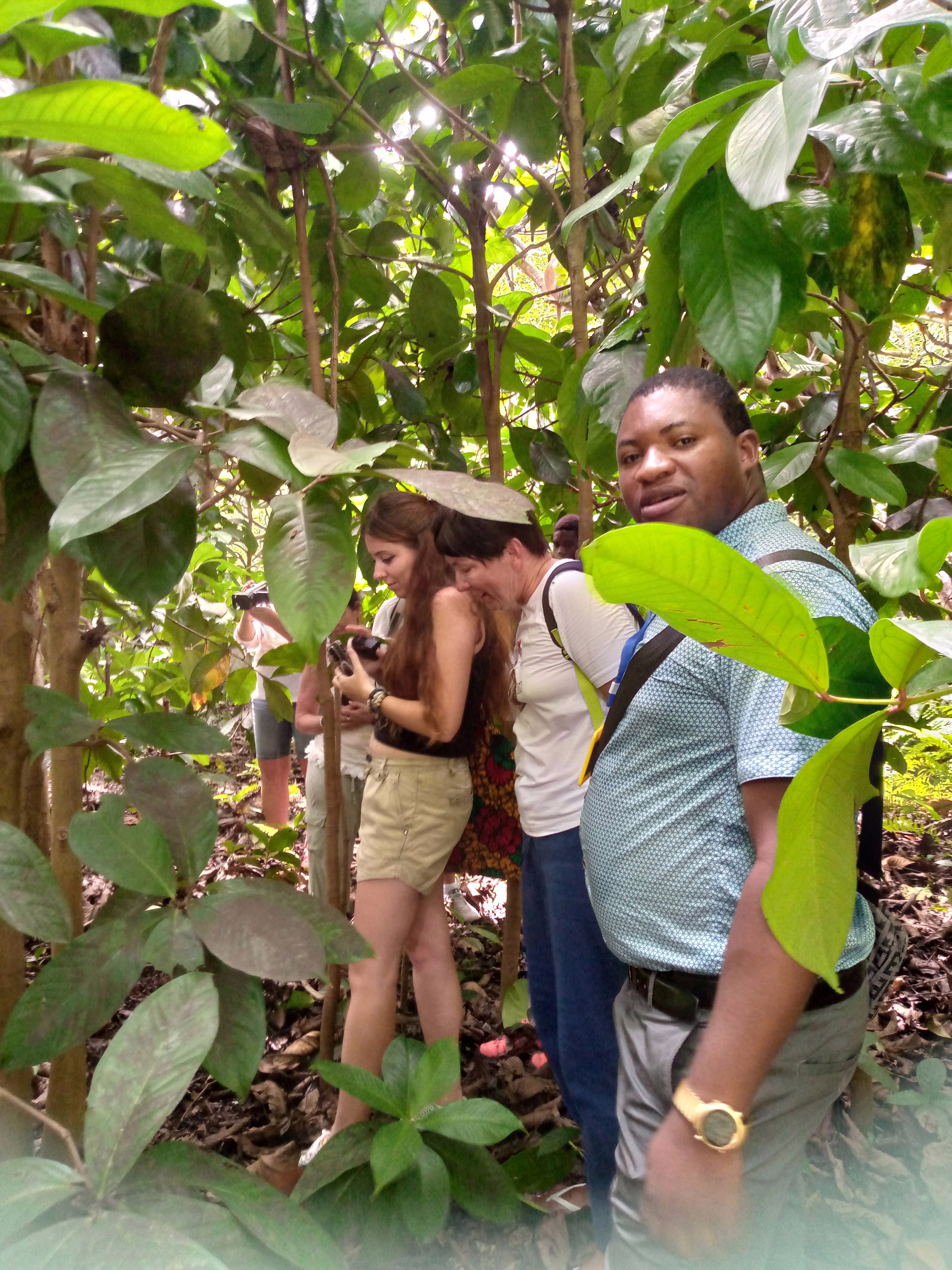 Jozan Forest Park Tour Image