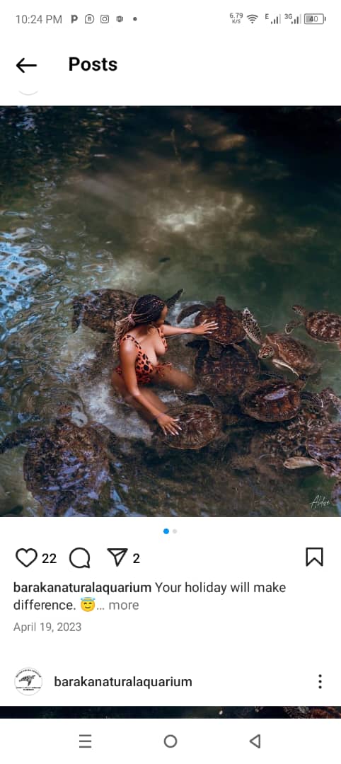 Turtle Aquarium Tour Image