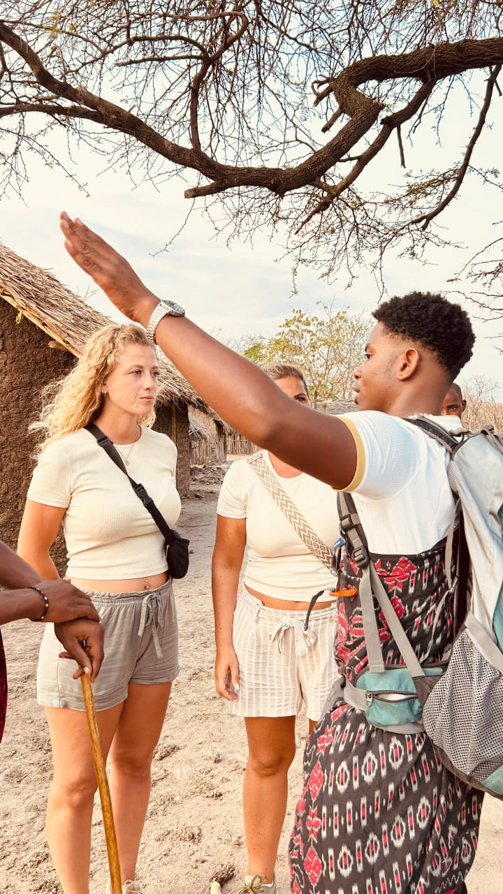 Mikumi national park Tour Image