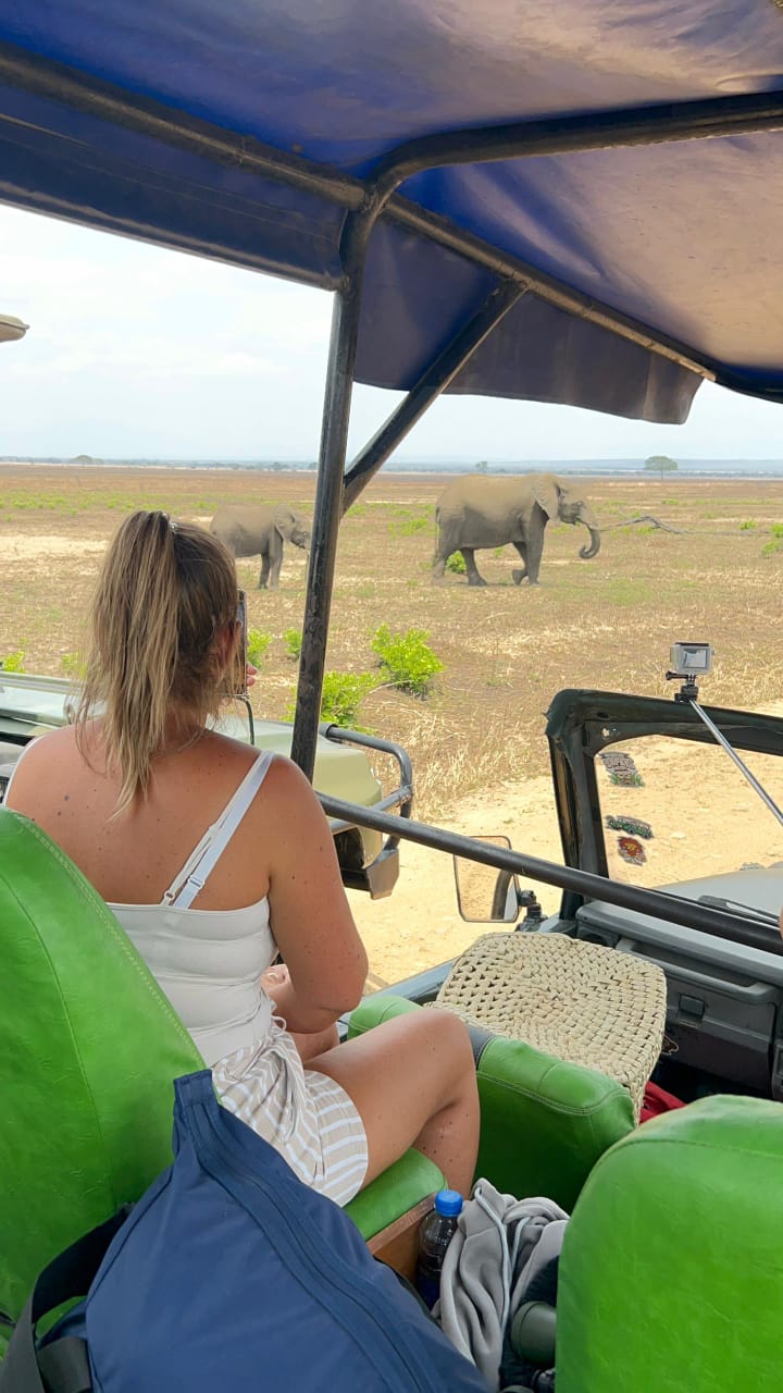 Mikumi national park Tour Image