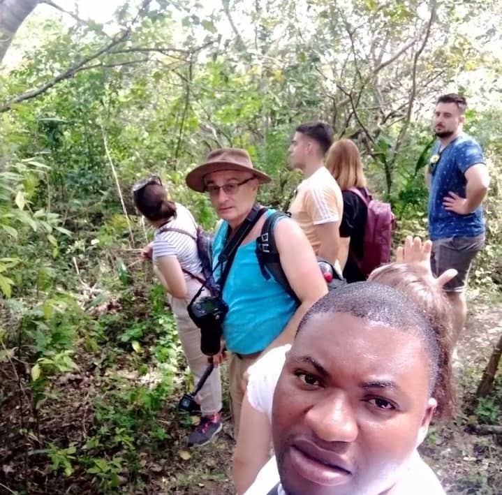 Jozan Forest Park Tour Image