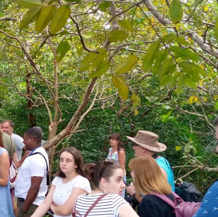 Jozan Forest Park Tour Image