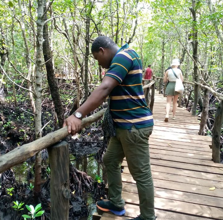 Jozan Forest Park Tour Image