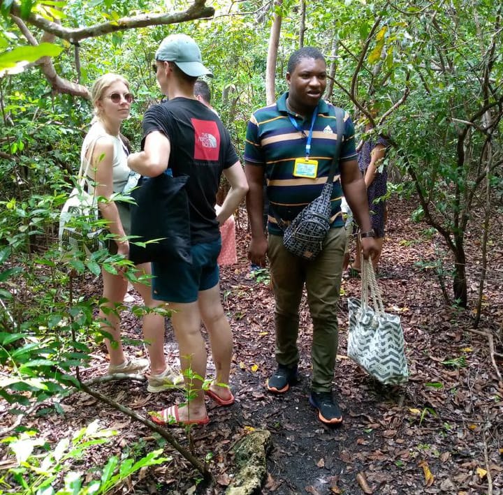 Jozan Forest Park Tour Image
