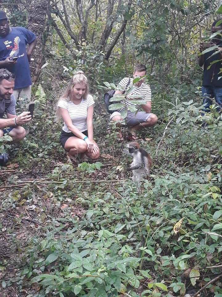 Jozan Forest Park Tour Image