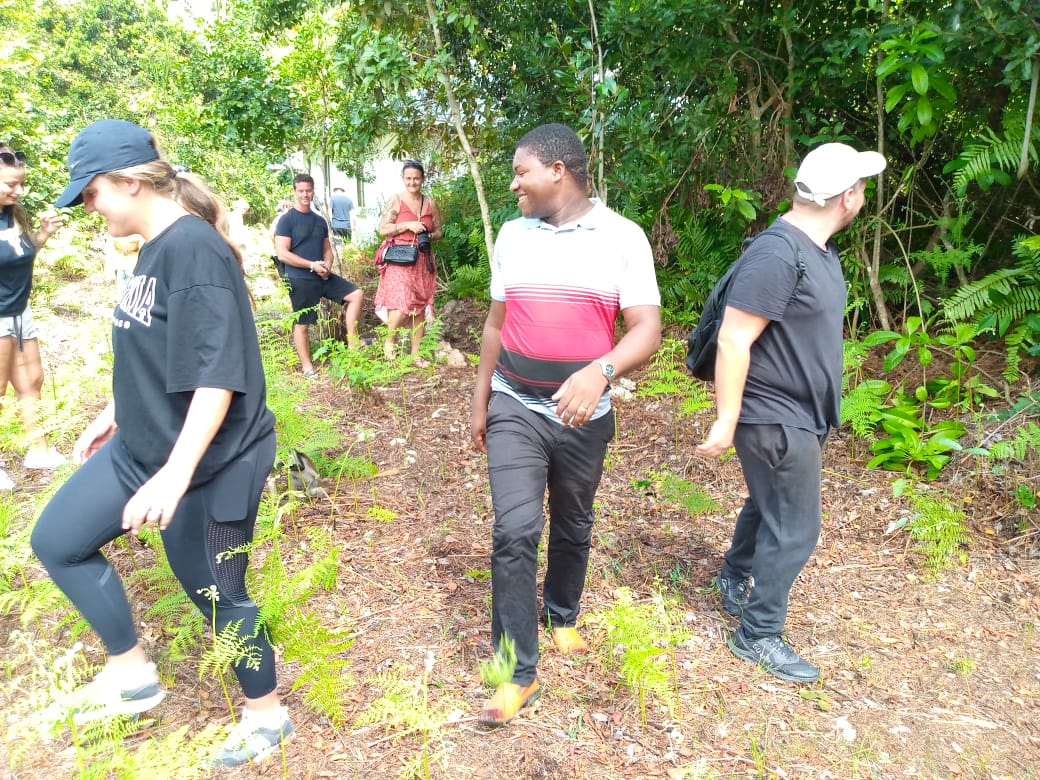 Jozan Forest Park Tour Image