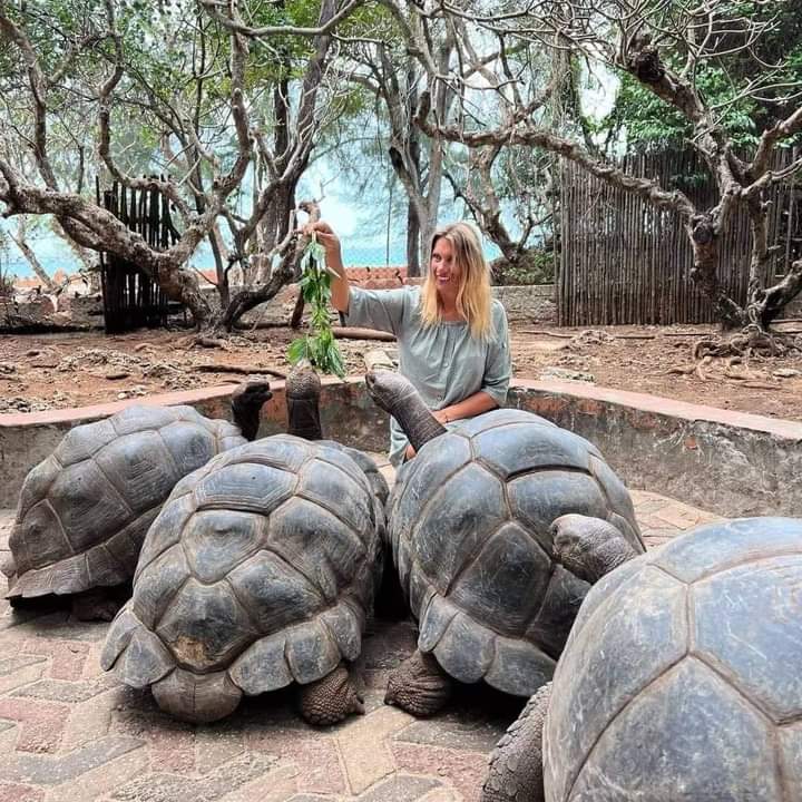 Prison Island Tour Image